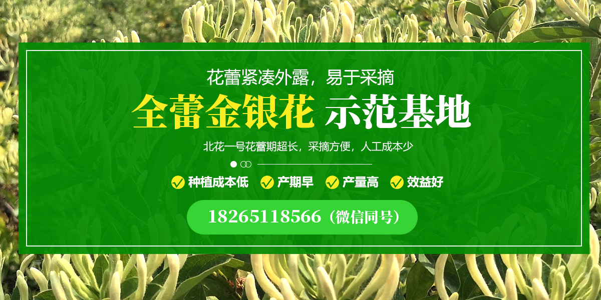 泰安三英新材料股份有限公司